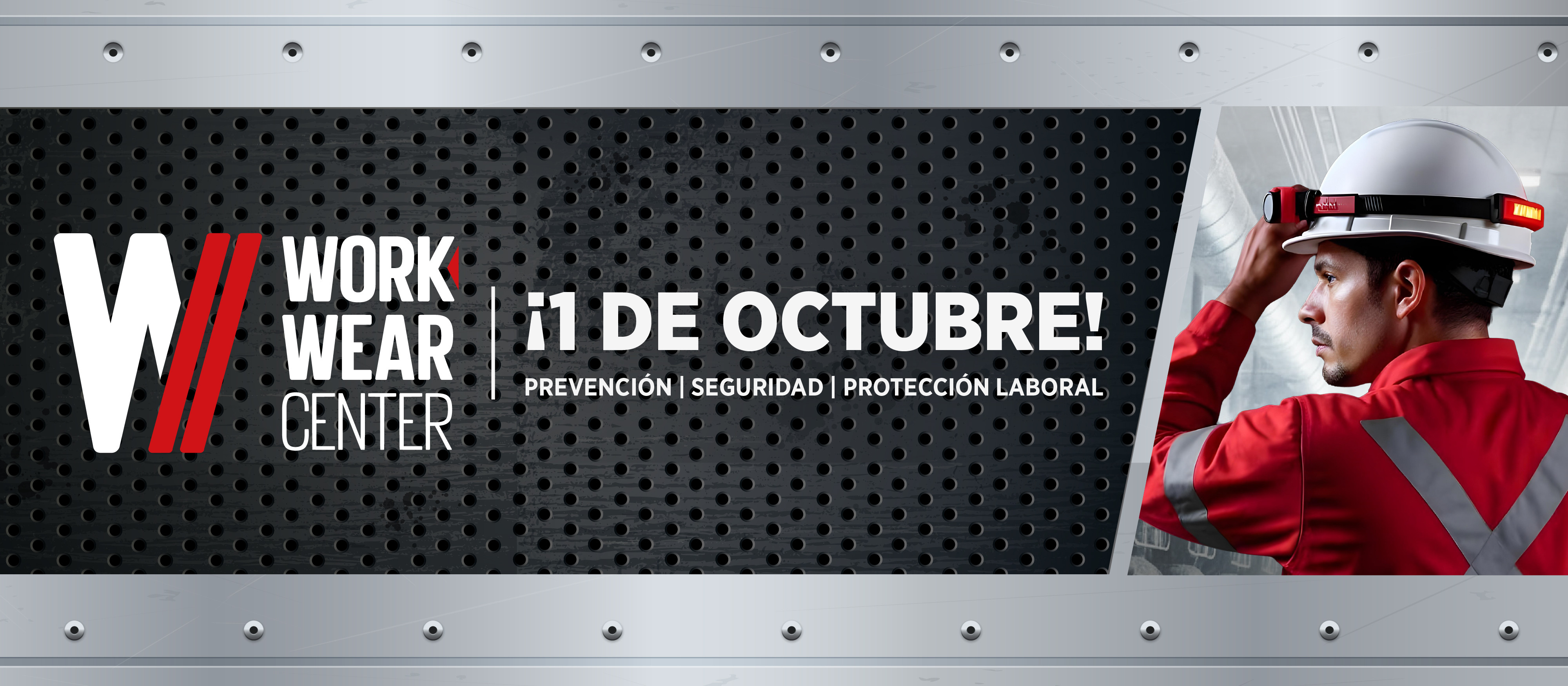 Descubre nuestros catálogos